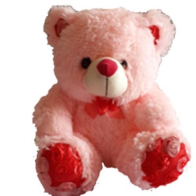 Send Softtoys and Flowers to Hyderabad