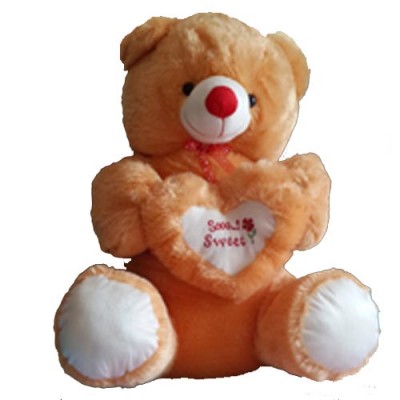 Deliver Softtoys and Flowers to Hyderabad